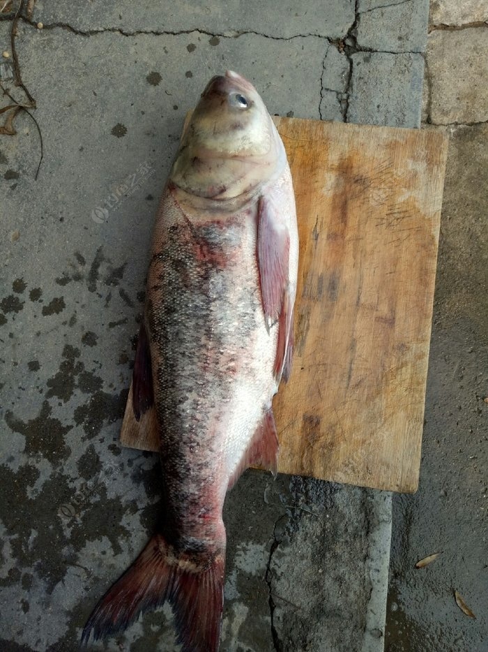 春天調(diào)養(yǎng)情志應(yīng)注意什么？早春