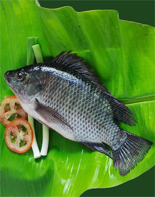 求推薦蔬菜配送公司怎么送貨