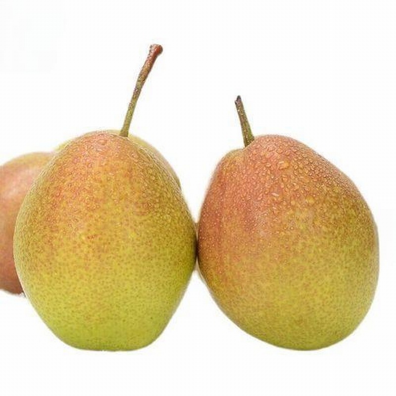 初春時節(jié)如何減衣不易感冒？早春