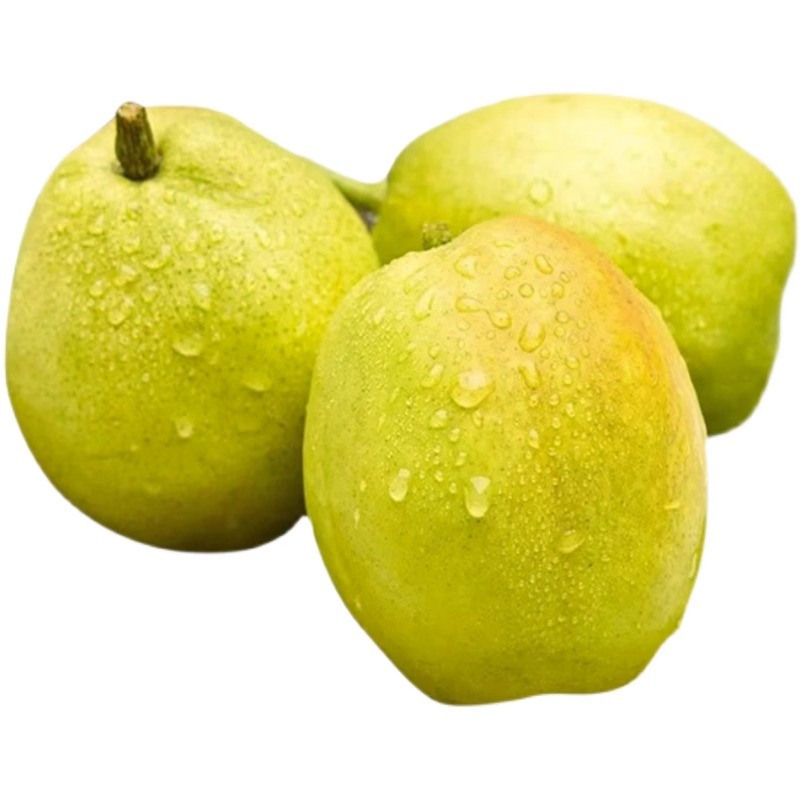 春季飲食應以清淡為主 養(yǎng)生三部曲早春