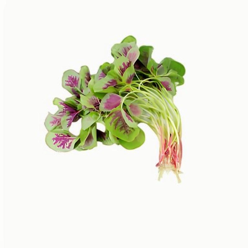 春分的來歷，春分的習(xí)俗有哪些，春分的節(jié)氣特征