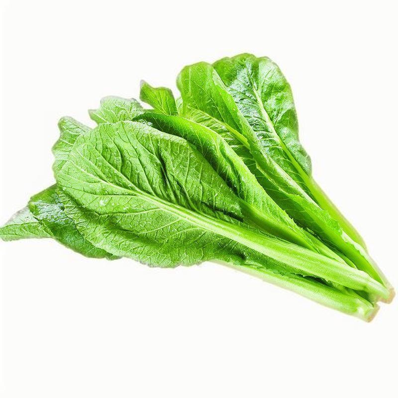 蔬菜配送價格,東莞蔬菜配送,食材配送