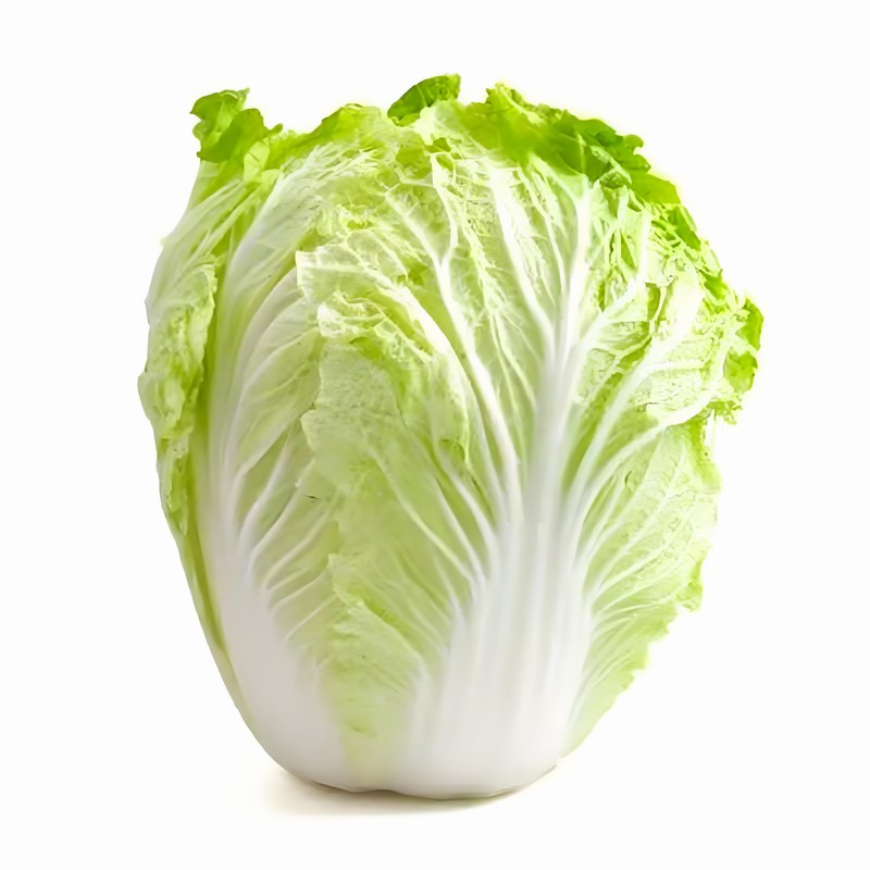 春分時(shí)節(jié)巧養(yǎng)生體質(zhì)五行先分清